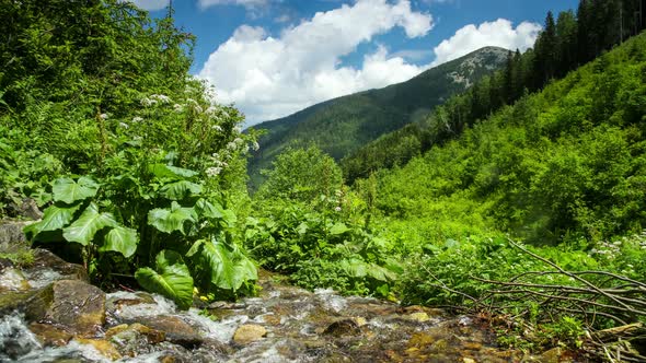 Time Lapse Clouds Move Over Mountain River and Forest Rural Landscape 