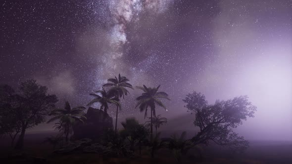 Milky Way Galaxy Over Tropical Rainforest.