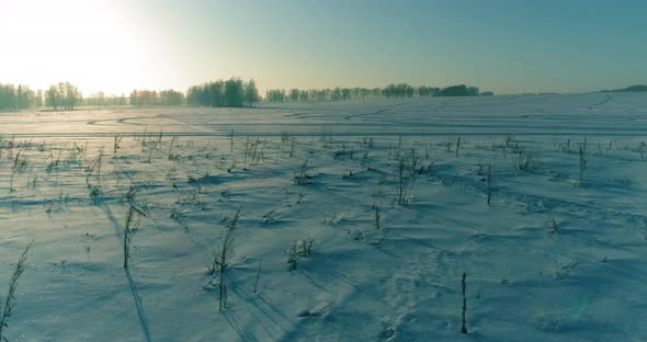 Aerial Drone View of Cold Winter Landscape with Arctic Field, Trees Covered with Frost Snow and