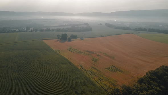 Aerial flight over corn farm in the morning with fog