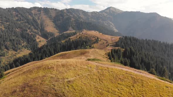 Aerial Shot of the Forest at Mountain Hills at Sunset