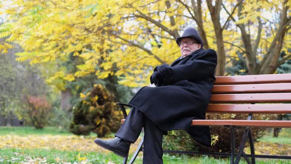 Old and Lonely Grandfather in Glasses and a Black Coat He is Sitting in an Autumn Park on a Bench