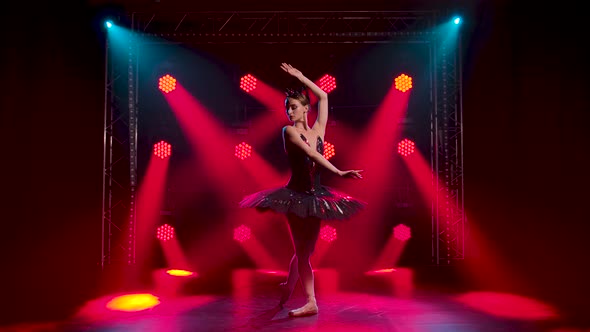 Graceful Ballerina in a Chic Image of a Black Swan. Young Beautiful Girl in a Black Tutu with Red