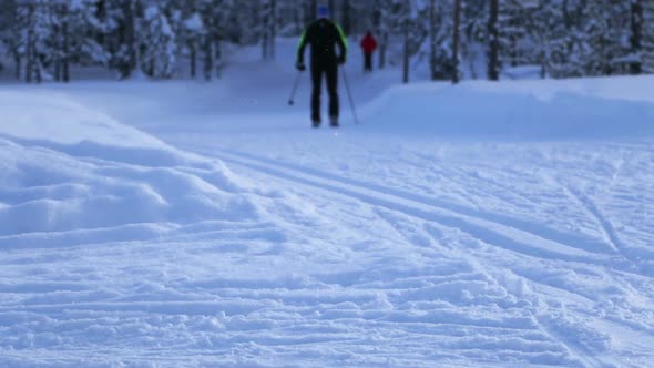 Ski Walk in the Winter Forest