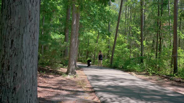 Camera Truck Right Revealing Woman Walking Dog in Park