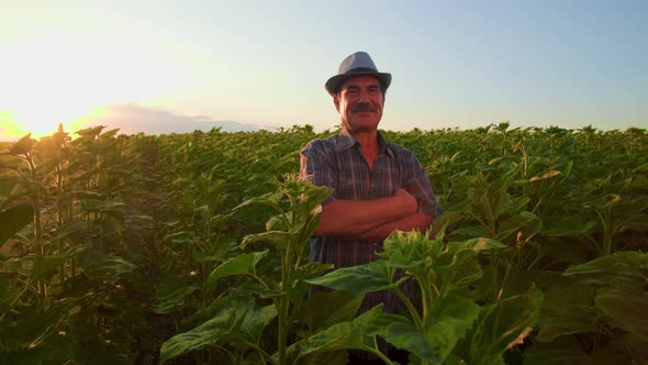 Senior Indian Farmer with Arms Crossed Has a Hat on His Head and is in the Field