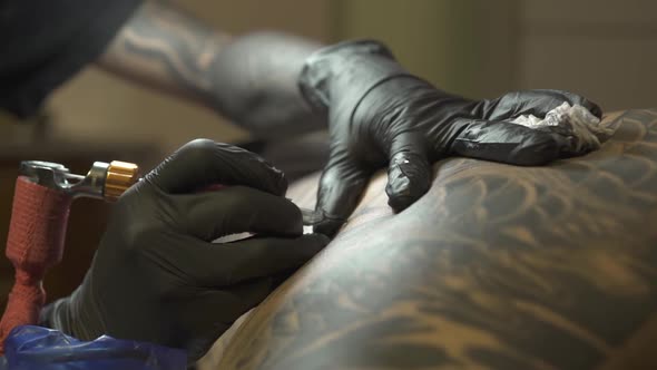 Skilled Tattooist Disposable Gloves Applies Black Image