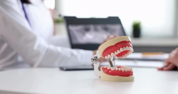 Artificial Mockup of Jaw Standing on Table Near Doctor and Patient  Movie