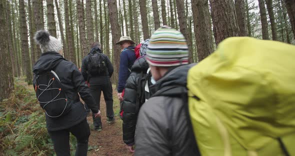 People in forest