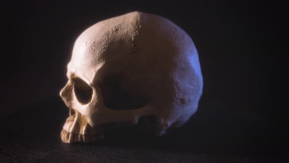 A looped 360-degree video of a human skull