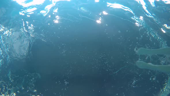 Female Athlete Practicing Front Crawl in Pool