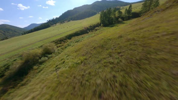 Aerial View Greenery Meadow Agricultural Field with Stack of Hay Harvest Autumn Sunny Landscape