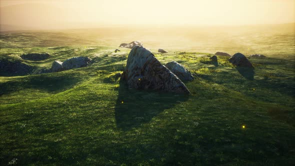 Alpine Meadow with Rocks and Green Grass alt