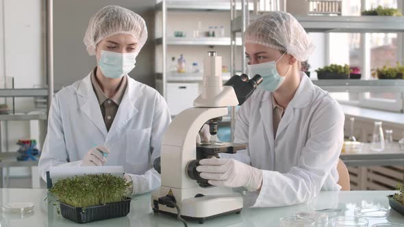 Two Female Scientists Working Together in Lab