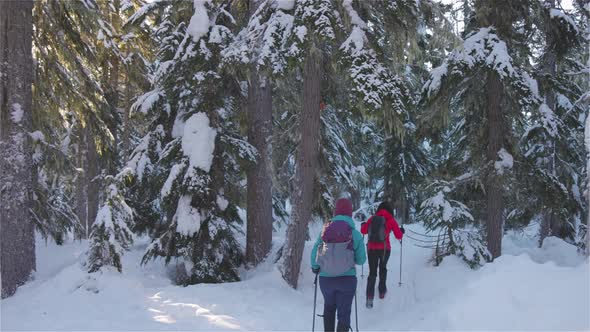 Adventure Girl Friends Hiking in Canadian Mountain Nature