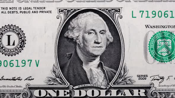 Fragments of Different Paper Dollars Change Each Other in Stop Motion Money