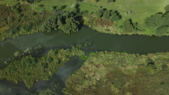 Park area. A winding river with water lilies. Swampy area. Aerial photography.