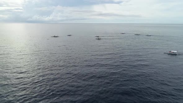 Aerial view of white traditional filipino boats near Panglao, Philippines.