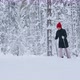 A woman walking through deep snow in forest - VideoHive Item for Sale