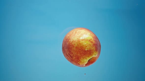 Red Peach Floats in Water