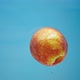Red Peach Floats in Water - VideoHive Item for Sale