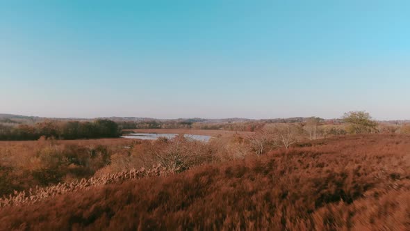 Scenic view of a lake with dried grasses and trees on both sides indicating autumn season on beautif