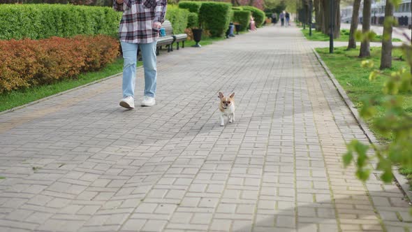 a Woman Walks with a Small Dog in the Morning Park