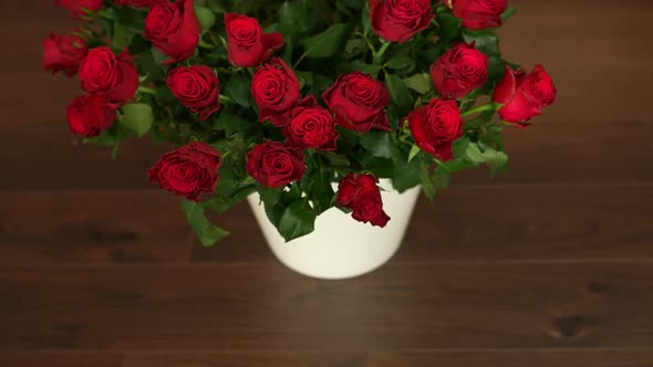 Red Roses