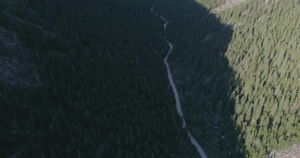 Aerial of canyon and forest. Drone dives down at forest with winding dirt road and pans up to reveal