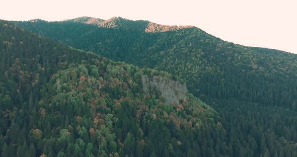 Aerial View Of Rocky Mountain with Lush Green Coniferous Forest