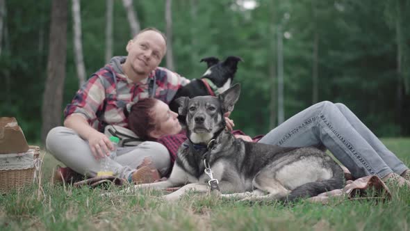 Portrait of Serious Dog on Summer Lawn with Blurred Couple Sitting and Lying at the Background