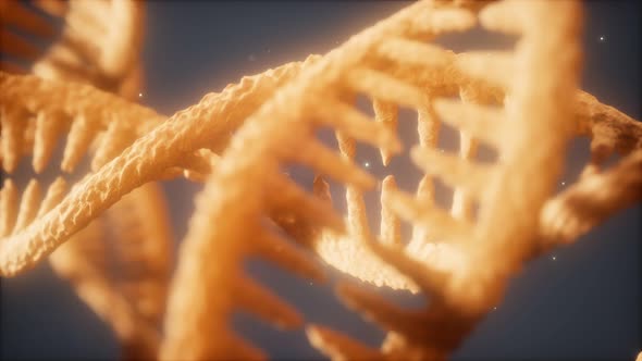 Double Helical Structure of Dna Strand Close-up Animation