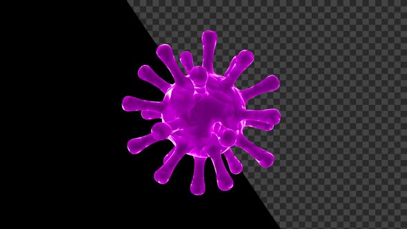 Covid 19 Coronavirus V4