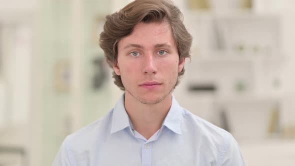 Portrait of Attractive Young Businessman Looking at Camera