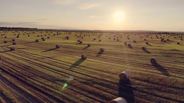 Video From a Flying Drone Fields with Ripe Cereals and Haystacks