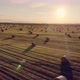 Video From a Flying Drone Fields with Ripe Cereals and Haystacks - VideoHive Item for Sale