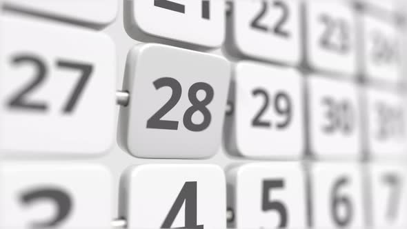 28 Date on the Turning Calendar Plate