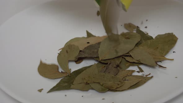 Bay Leaves Were Poured Onto a White Plate with the Desired Seasoning