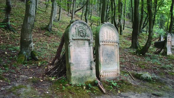 Two Tombstones in Old Cemetery