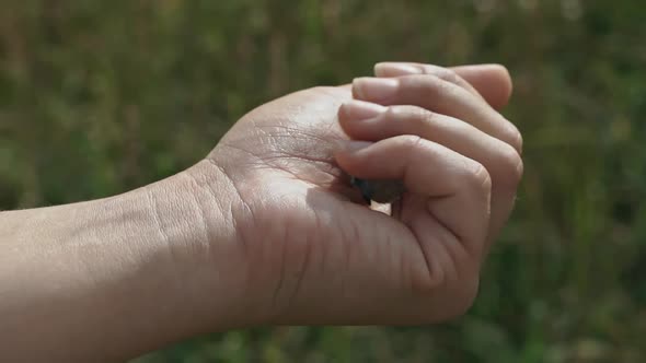Woman Releases the Butterfly From Her Hand