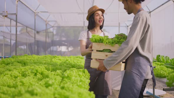 Two Asian business couple farmers work in vegetables hydroponic greenhouse farm with happiness.