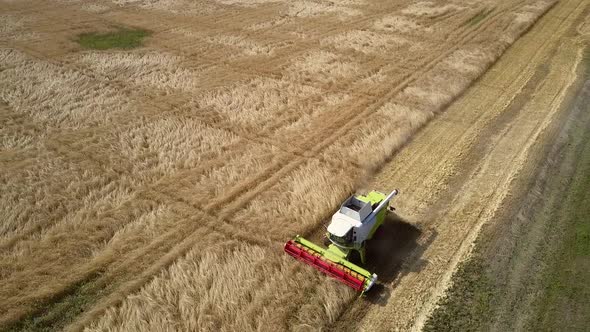 Combine with Red Reaper Works on Wheat Field By Road Side