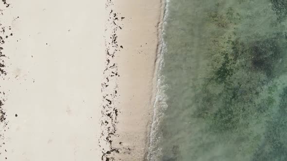 Vertical Video Empty Beach on Zanzibar Island Tanzania Aerial View