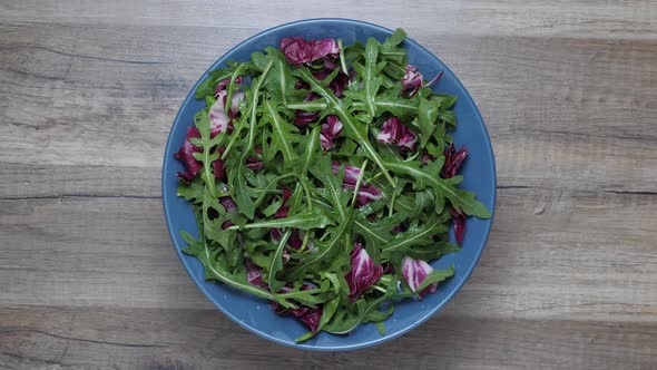 Salad leaves mix green, juicy snack, in a plate, rotating on a table.