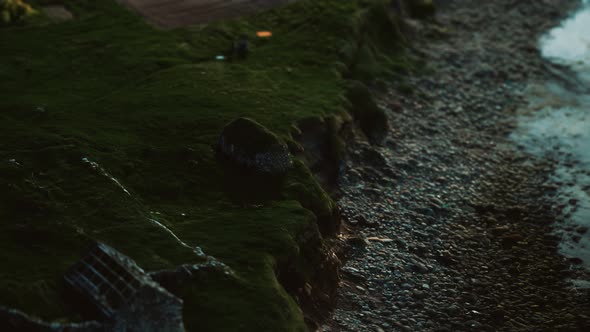 View on a Coastline on Faroe Islands at Sunset alt