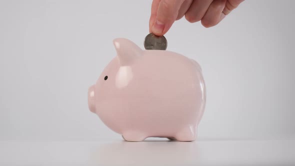 Putting Coin Into Piggy Bank. Piggy Growing When Coins Put Inside.