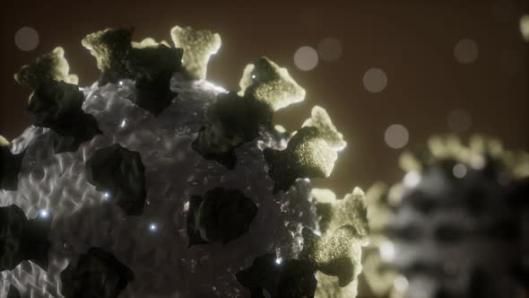 Corona Virus Covid 19 Macro Model alt