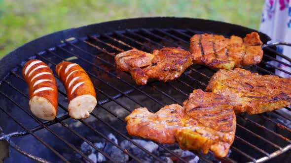 Different Types of Juicy Meats on Hot Coals on Grill in Garden