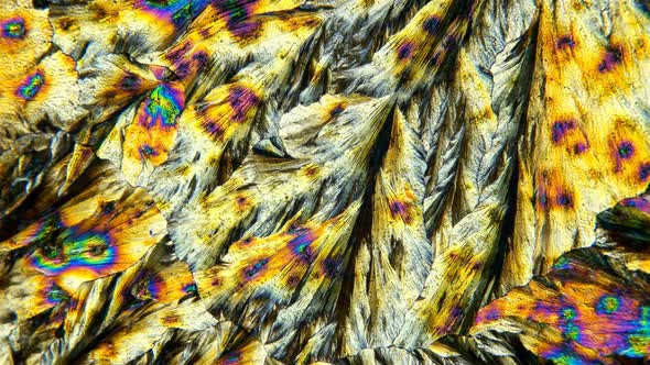 Beautiful Crystals Under the Microscope