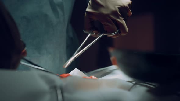 Closeup Surgeon Hands Suturing Wound with Forceps in Hospital Operating Theatre